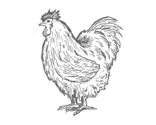 pittsburgh-chicken-delivery-dark